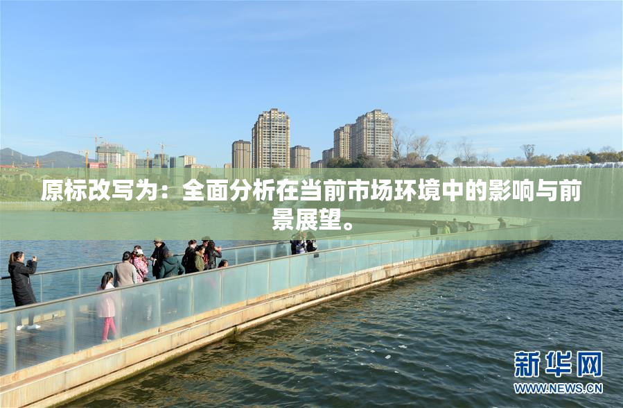 原标改写为：全面分析在当前市场环境中的影响与前景展望。