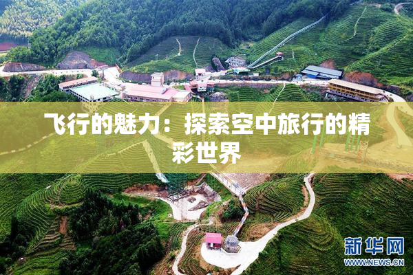 飞行的魅力：探索空中旅行的精彩世界