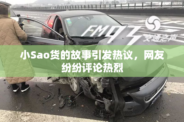 小Sao货的故事引发热议，网友纷纷评论热烈
