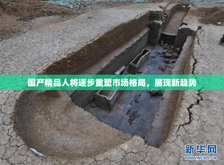国产精品人将逐步重塑市场格局，展现新趋势
