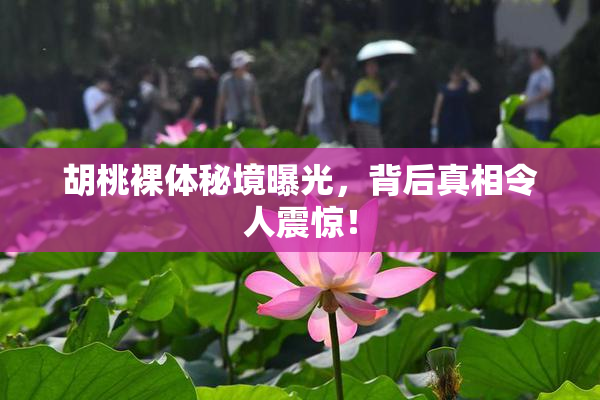胡桃裸体秘境曝光，背后真相令人震惊！
