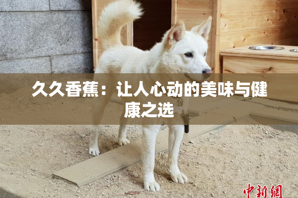 久久香蕉：让人心动的美味与健康之选