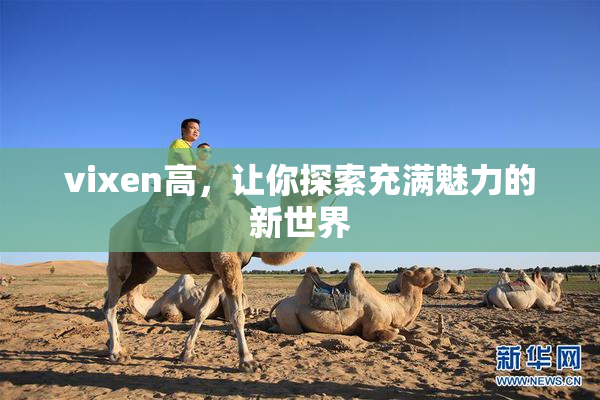 vixen高，让你探索充满魅力的新世界