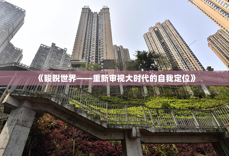 《睃睨世界——重新审视大时代的自我定位》