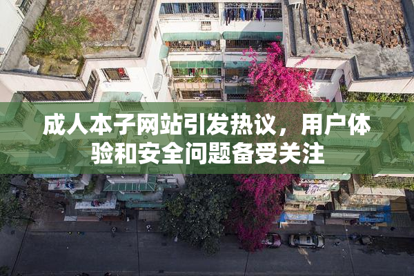 成人本子网站引发热议，用户体验和安全问题备受关注