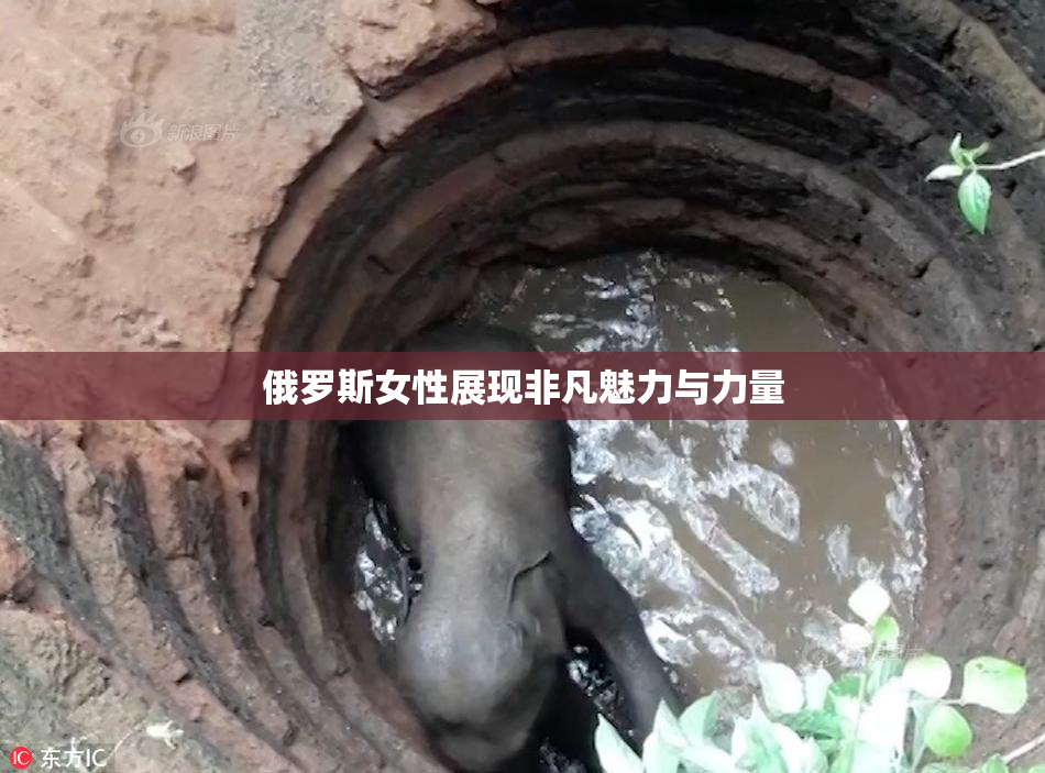 俄罗斯女性展现非凡魅力与力量