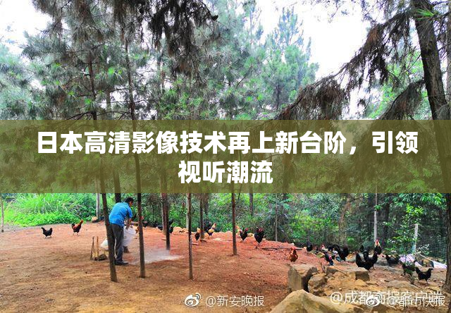 日本高清影像技术再上新台阶，引领视听潮流