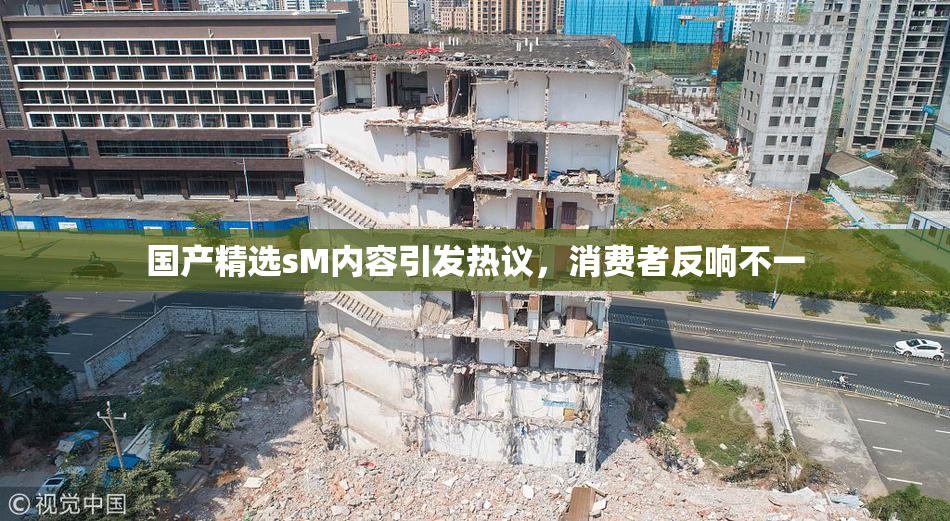 国产精选sM内容引发热议，消费者反响不一