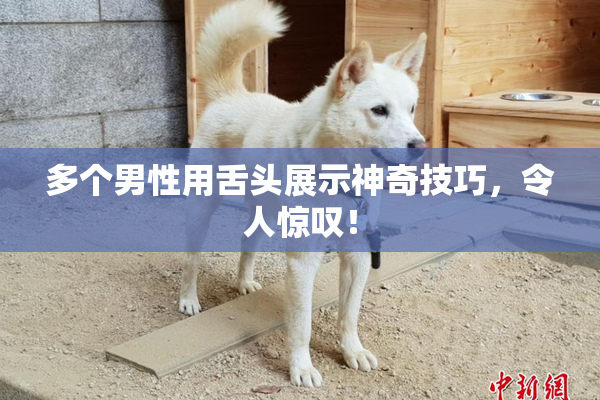 多个男性用舌头展示神奇技巧，令人惊叹！
