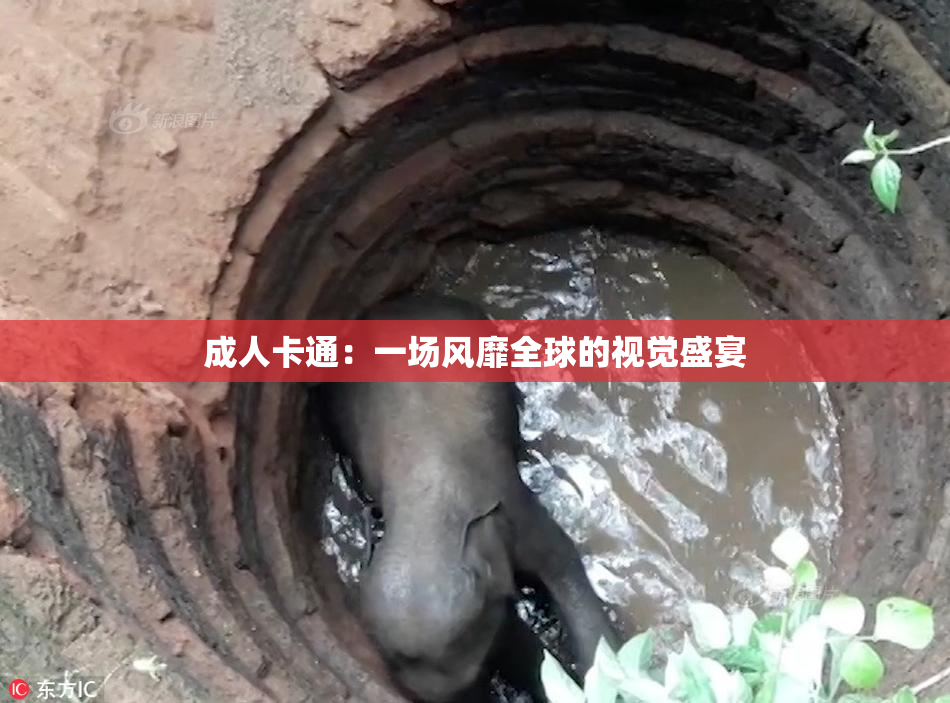 成人卡通：一场风靡全球的视觉盛宴