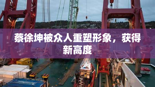 蔡徐坤被众人重塑形象，获得新高度