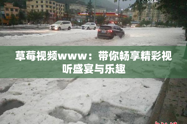 草莓视频www：带你畅享精彩视听盛宴与乐趣