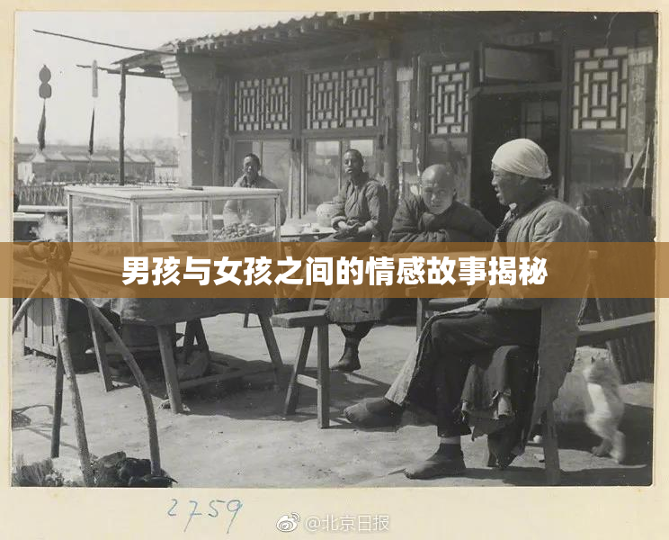 男孩与女孩之间的情感故事揭秘
