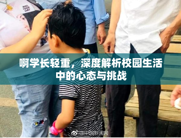 啊学长轻重，深度解析校园生活中的心态与挑战