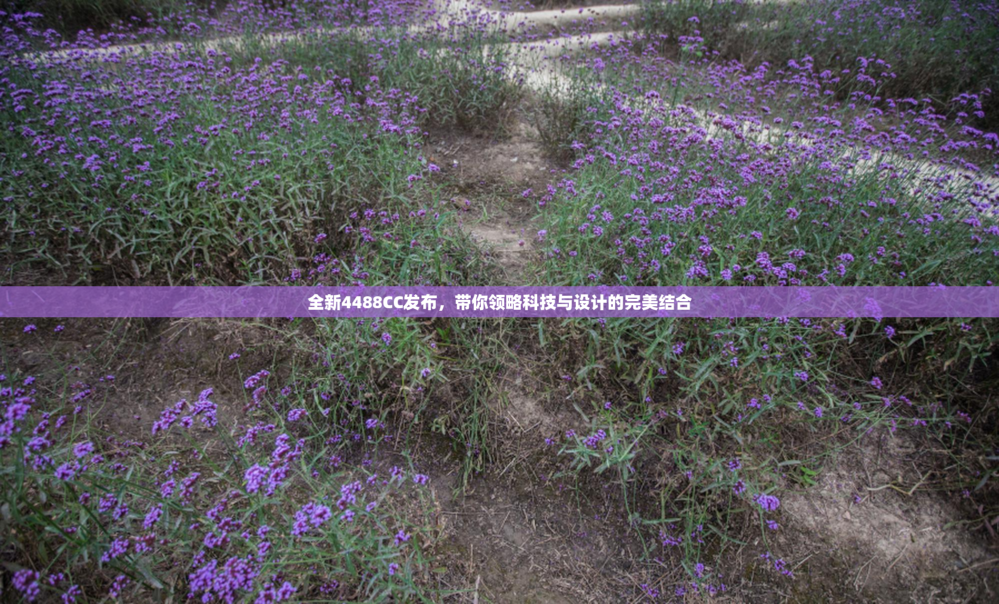 全新4488CC发布，带你领略科技与设计的完美结合