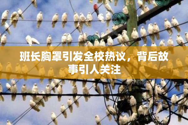 班长胸罩引发全校热议，背后故事引人关注