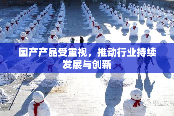 国产产品受重视，推动行业持续发展与创新