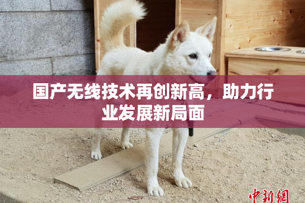 国产无线技术再创新高，助力行业发展新局面
