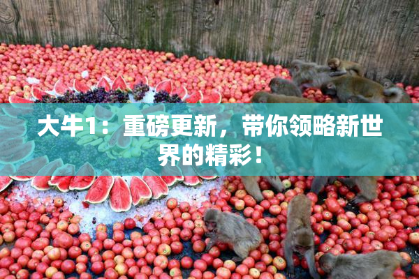 大牛1：重磅更新，带你领略新世界的精彩！