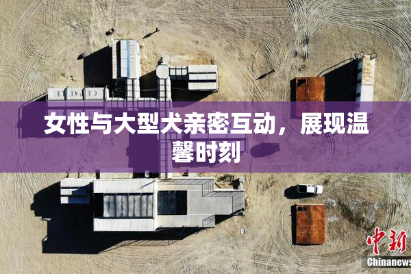 女性与大型犬亲密互动，展现温馨时刻