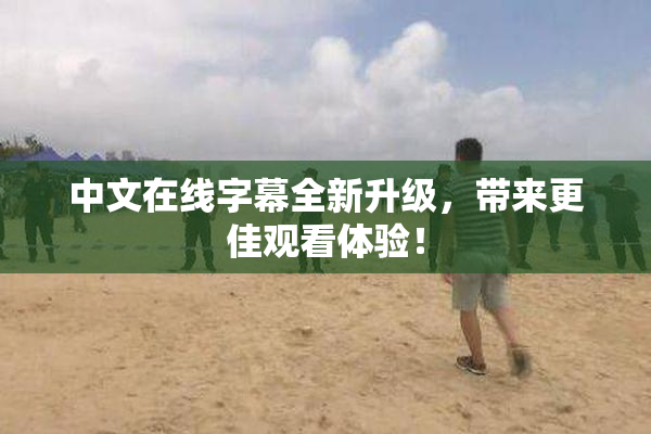 中文在线字幕全新升级，带来更佳观看体验！