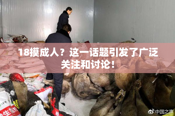 18摸成人？这一话题引发了广泛关注和讨论！