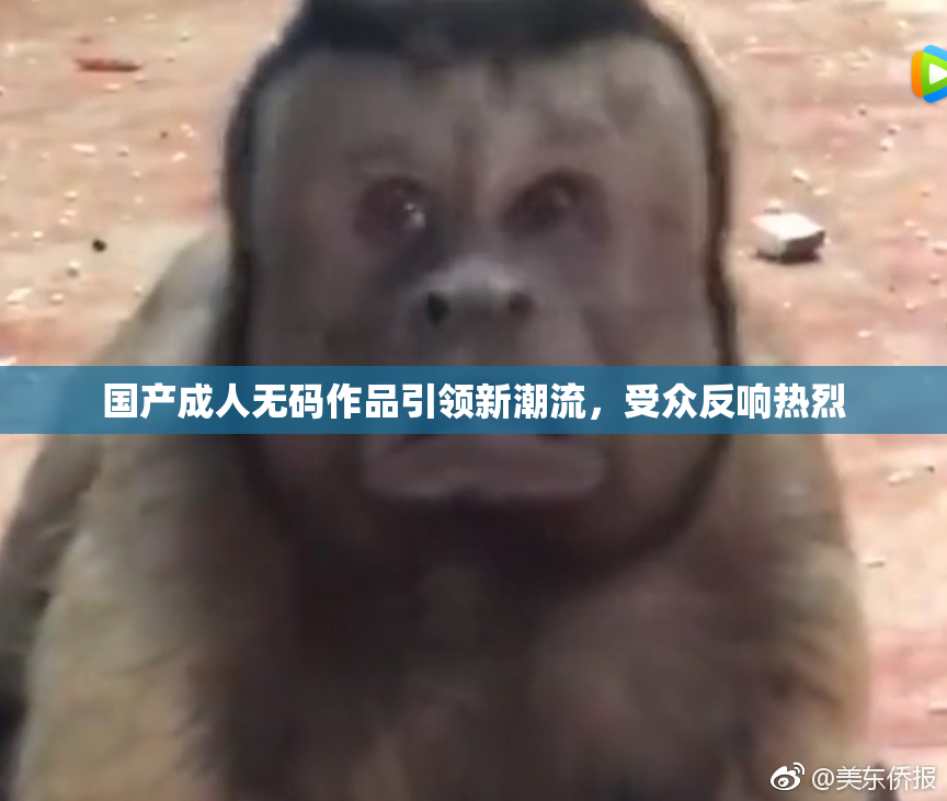 国产成人无码作品引领新潮流，受众反响热烈