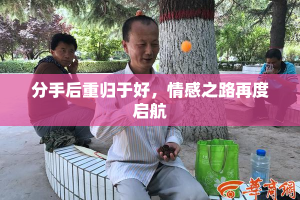 分手后重归于好，情感之路再度启航