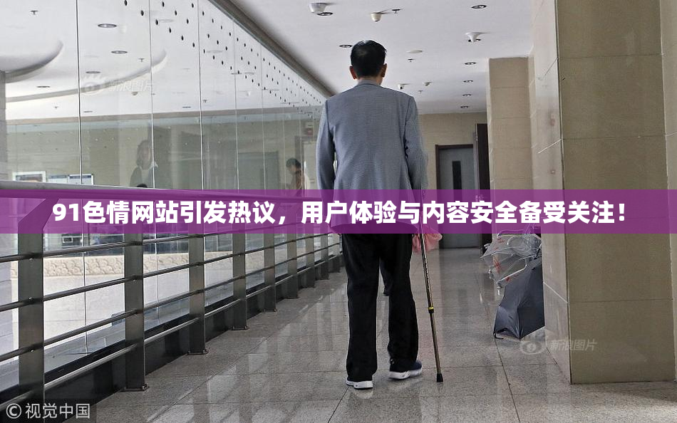 91色情网站引发热议，用户体验与内容安全备受关注！