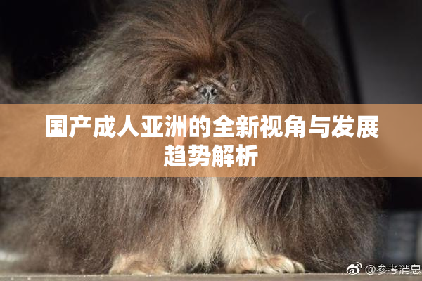 国产成人亚洲的全新视角与发展趋势解析