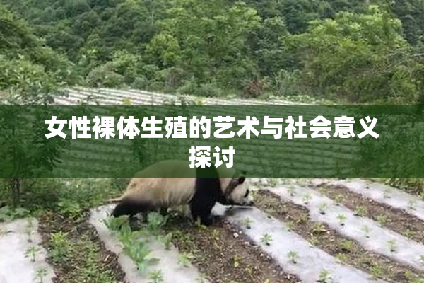 女性裸体生殖的艺术与社会意义探讨