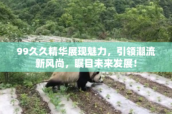 99久久精华展现魅力，引领潮流新风尚，瞩目未来发展！