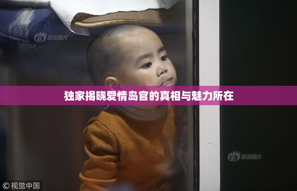 独家揭晓爱情岛官的真相与魅力所在