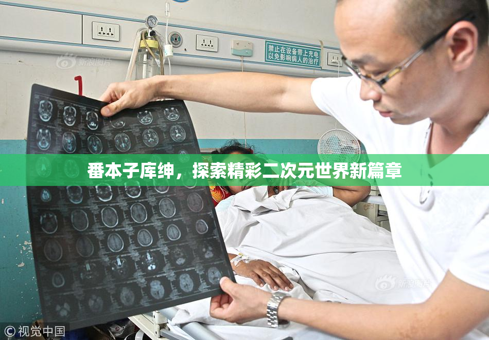 番本子库绅，探索精彩二次元世界新篇章