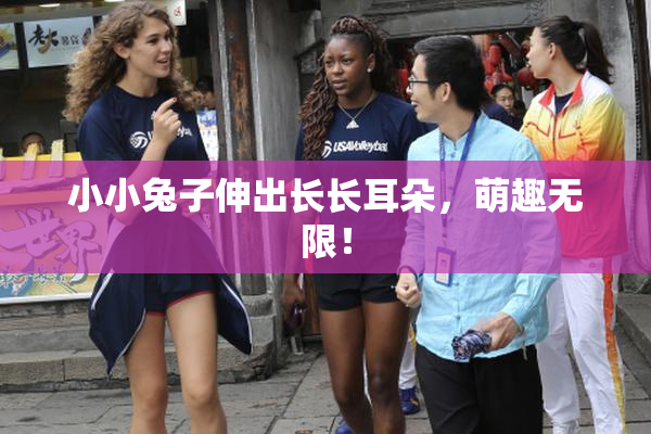 小小兔子伸出长长耳朵，萌趣无限！