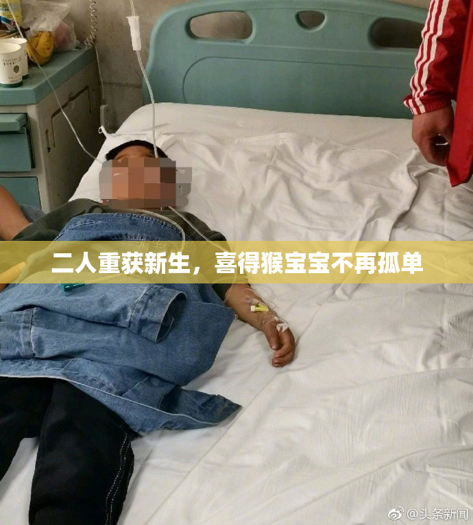 二人重获新生，喜得猴宝宝不再孤单