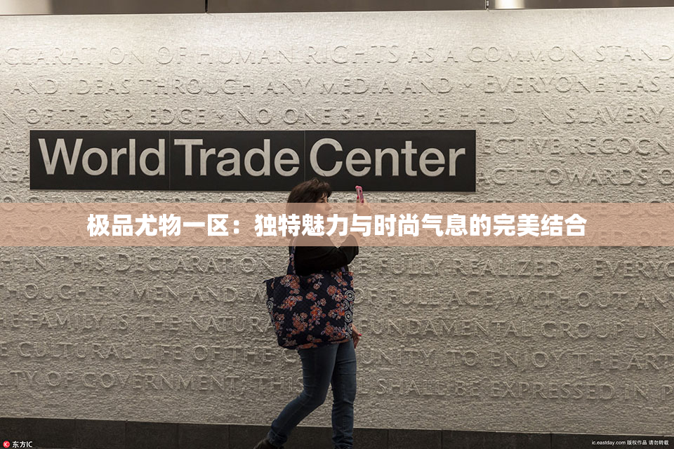 极品尤物一区：独特魅力与时尚气息的完美结合
