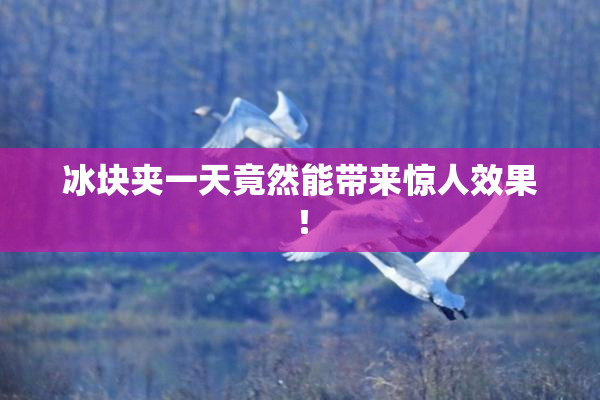 冰块夹一天竟然能带来惊人效果！