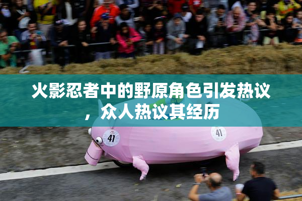 火影忍者中的野原角色引发热议，众人热议其经历