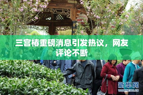 三宫椿重磅消息引发热议，网友评论不断