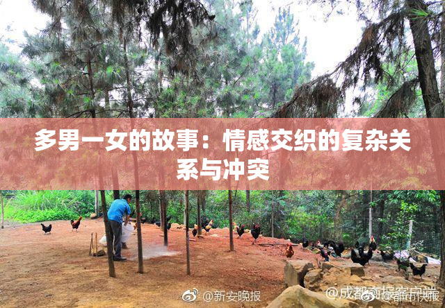 多男一女的故事：情感交织的复杂关系与冲突