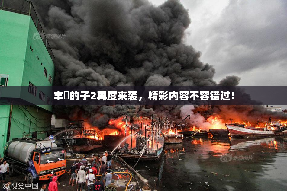 丰滿的子2再度来袭，精彩内容不容错过！
