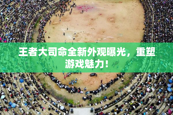 王者大司命全新外观曝光，重塑游戏魅力！