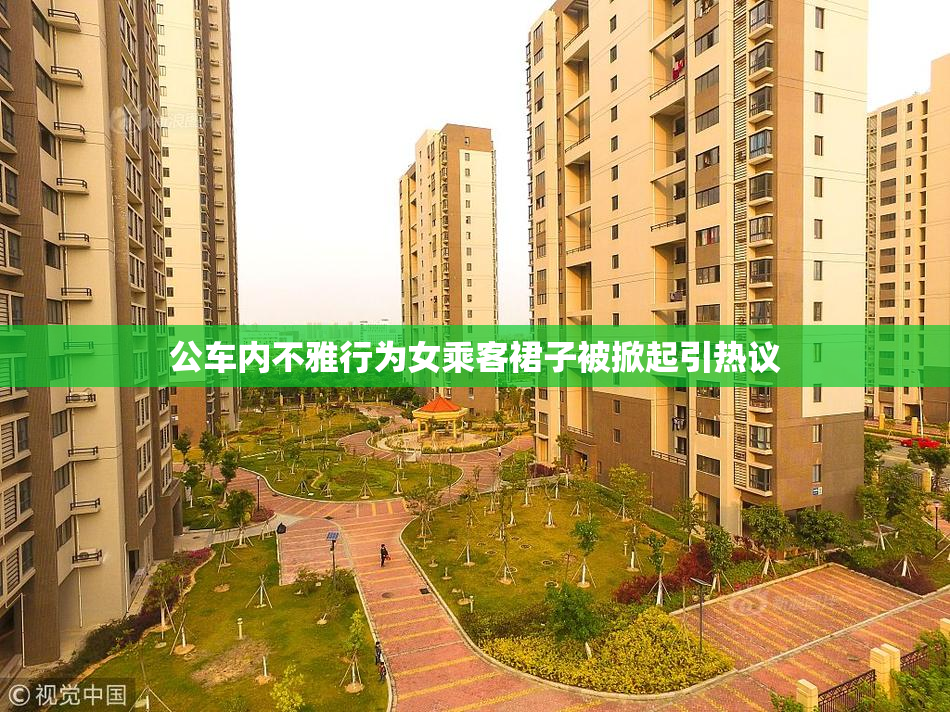 公车内不雅行为女乘客裙子被掀起引热议