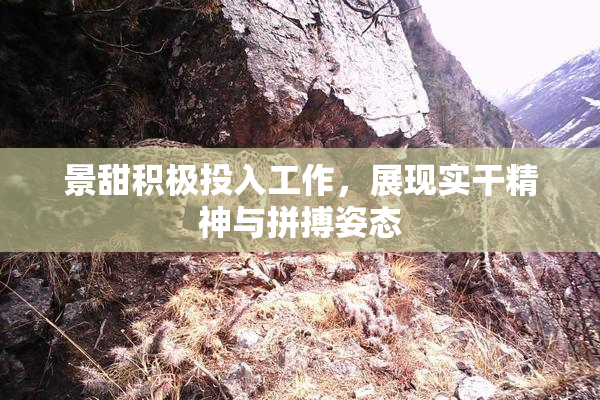景甜积极投入工作，展现实干精神与拼搏姿态
