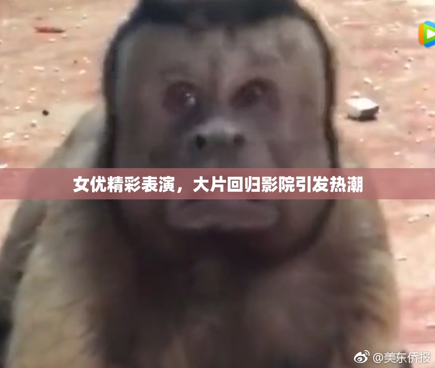 女优精彩表演，大片回归影院引发热潮