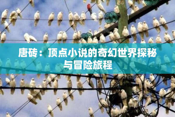 唐砖：顶点小说的奇幻世界探秘与冒险旅程