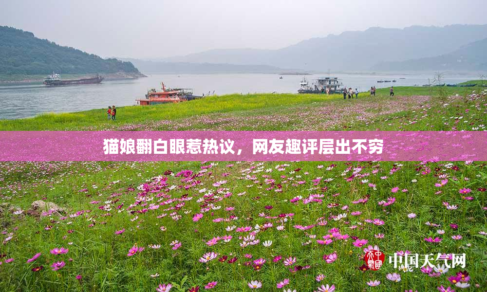 猫娘翻白眼惹热议，网友趣评层出不穷
