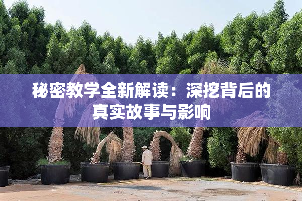 秘密教学全新解读：深挖背后的真实故事与影响