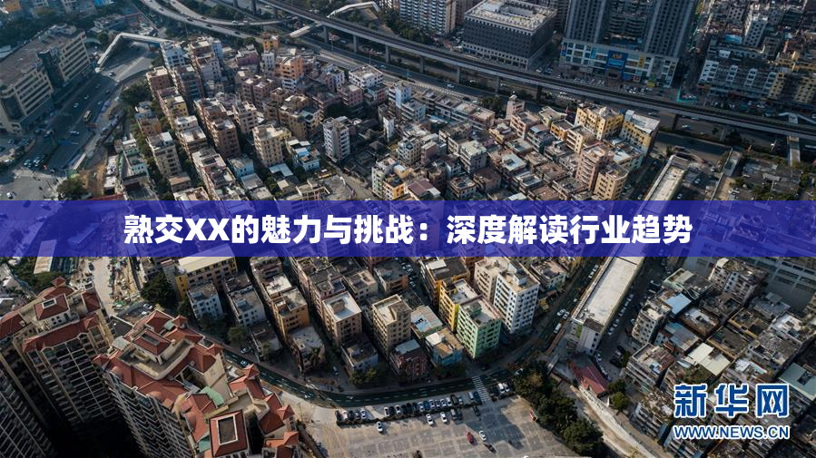 熟交XX的魅力与挑战：深度解读行业趋势